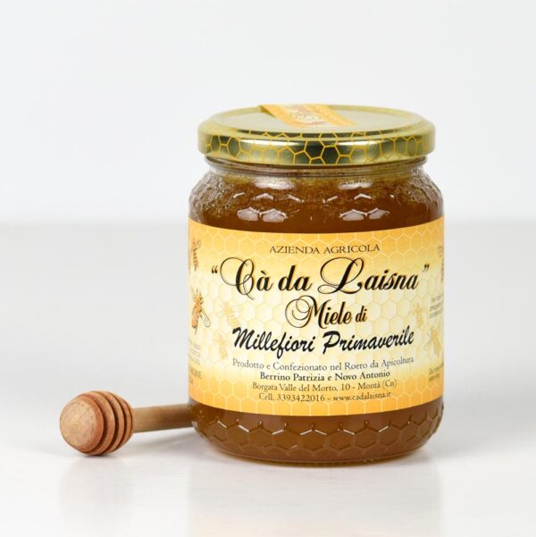 Miele di castagno del Piemonte - vaso da 500g